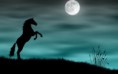 /album/fenykepgaleria/beautiful-horse-horses-22410553-1280-800-jpg/