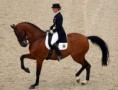 /album/fenykepgaleria/dressage-jpg/